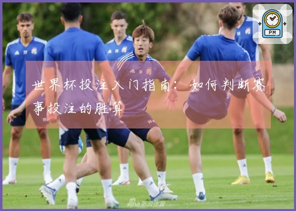 世界杯投注入门指南：如何判断赛事投注的胜算