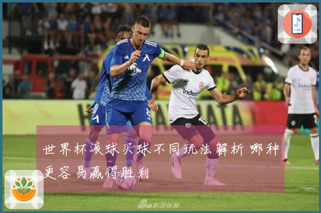 世界杯滚球买球不同玩法解析 哪种更容易赢得胜利