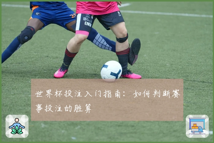 世界杯投注入门指南：如何判断赛事投注的胜算